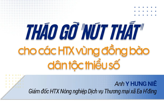 tit 4 1 20260624190339