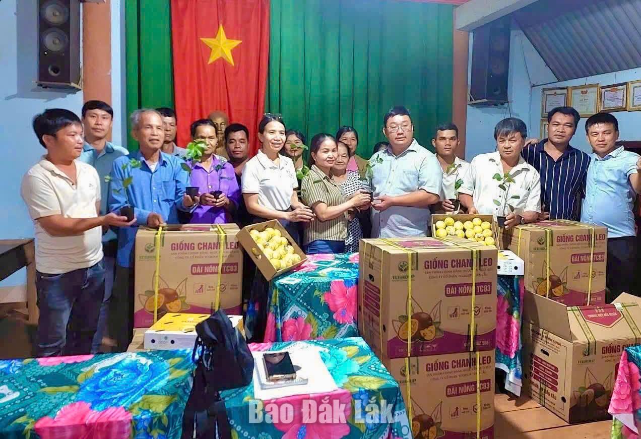 Nông dân Cư M’gar liên kết phát triển nông nghiệp xanh 1 z7887028538988 0ae4d9133aa122b130cec79dea3e93be 20260601041129 20260602181454