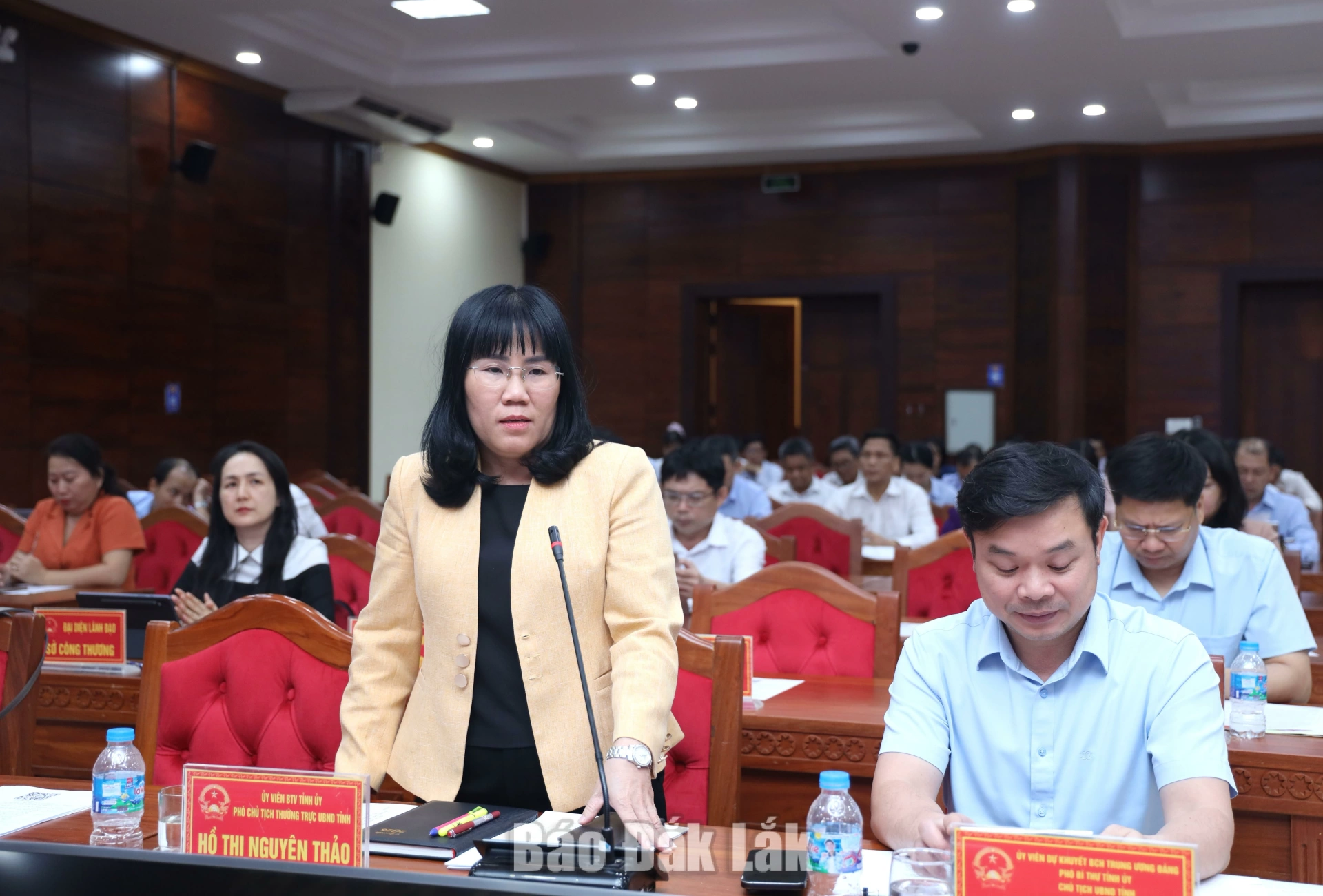 Ủy viên Ban Thường vụ Tỉnh ủy, Phó Chủ tịch Thường trực UBND tỉnh Hồ Thị Nguyên Thảo, 
