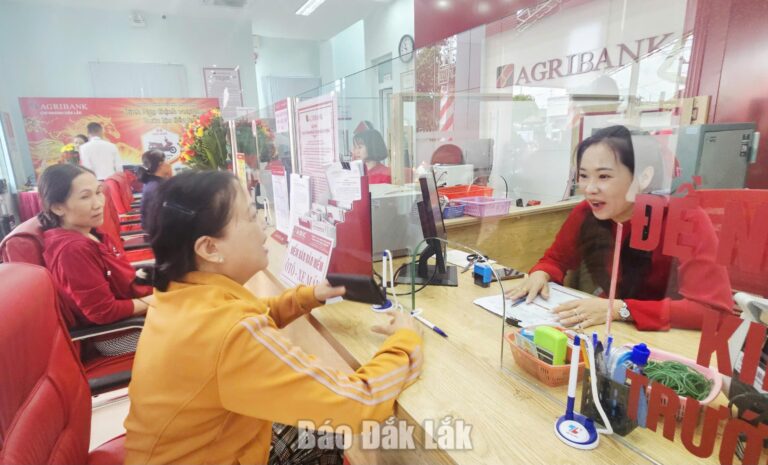 Agribank chi nhánh Đắk Lắk: Khơi thông nguồn vốn, tiếp sức doanh nghiệp bứt phá