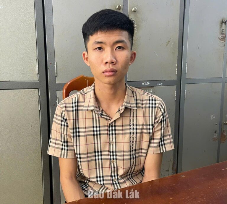 Bắt giữ đối tượng cầm đầu nhóm thanh thiếu niên dùng dao cướp tài sản