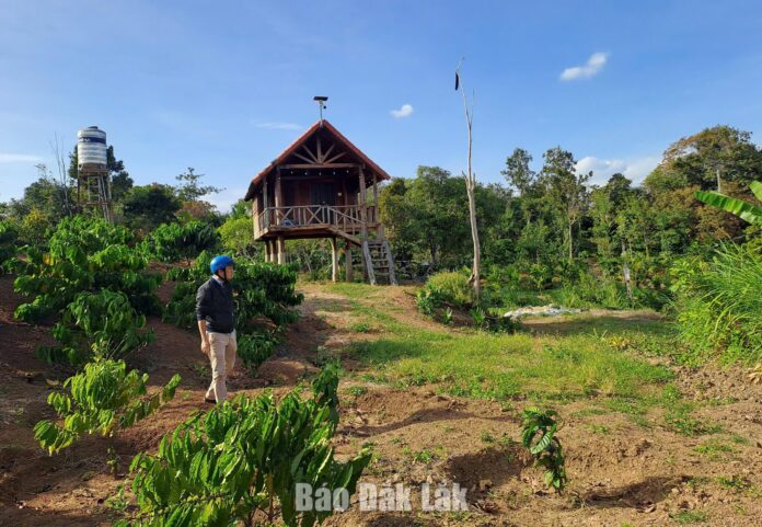 Đắk Lắk quy định về xây dựng công trình trên đất nông nghiệp