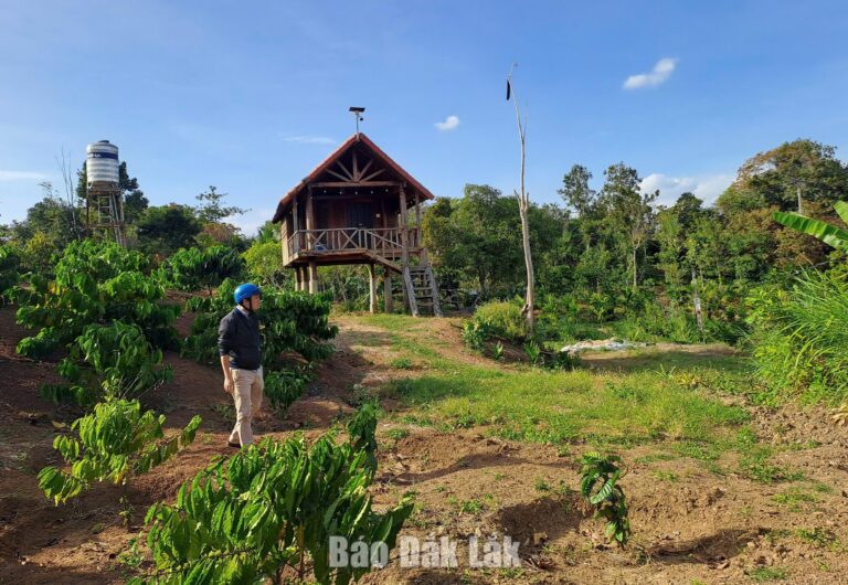 Đắk Lắk quy định về xây dựng công trình trên đất nông nghiệp