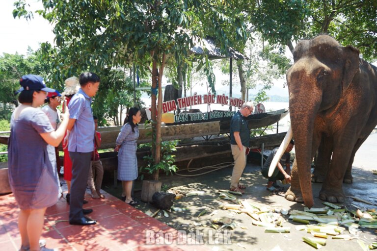 Đắk Lắk ước đón 5,33 triệu lượt khách trong 6 tháng đầu năm