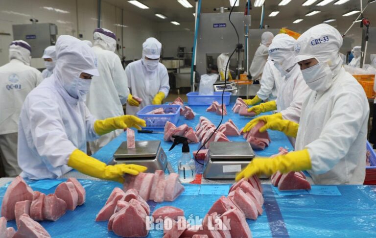 Đánh thức tiềm năng - Báo Đắk Lắk điện tử
