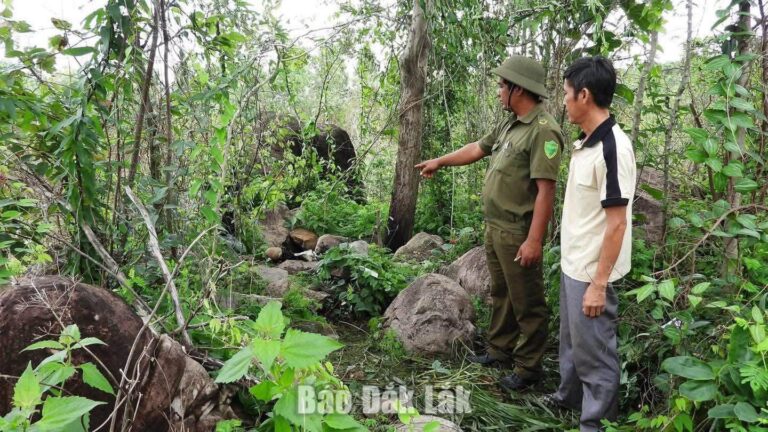 Điều tra vụ phát hiện bộ xương người trong rẫy ở xã Ea H’leo