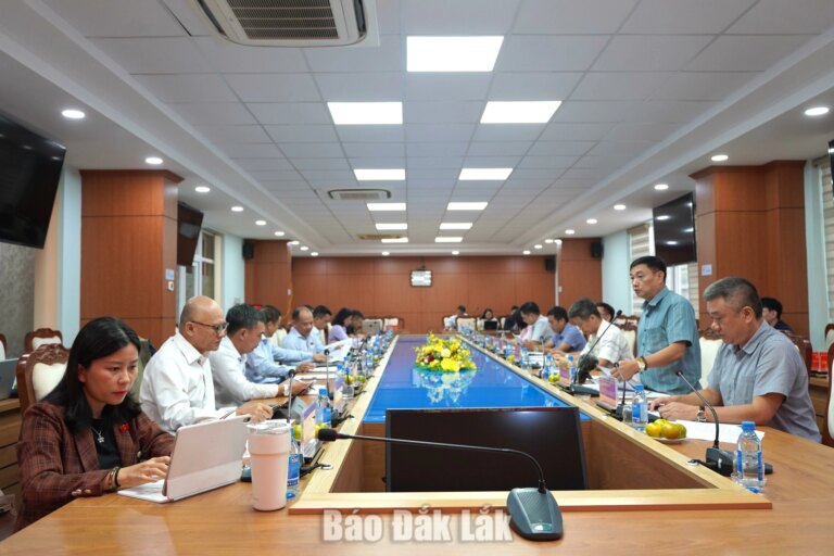 Đoàn ĐBQH tỉnh giám sát việc quản lý, sử dụng tài sản công sau sáp nhập tại phường Buôn Ma Thuột