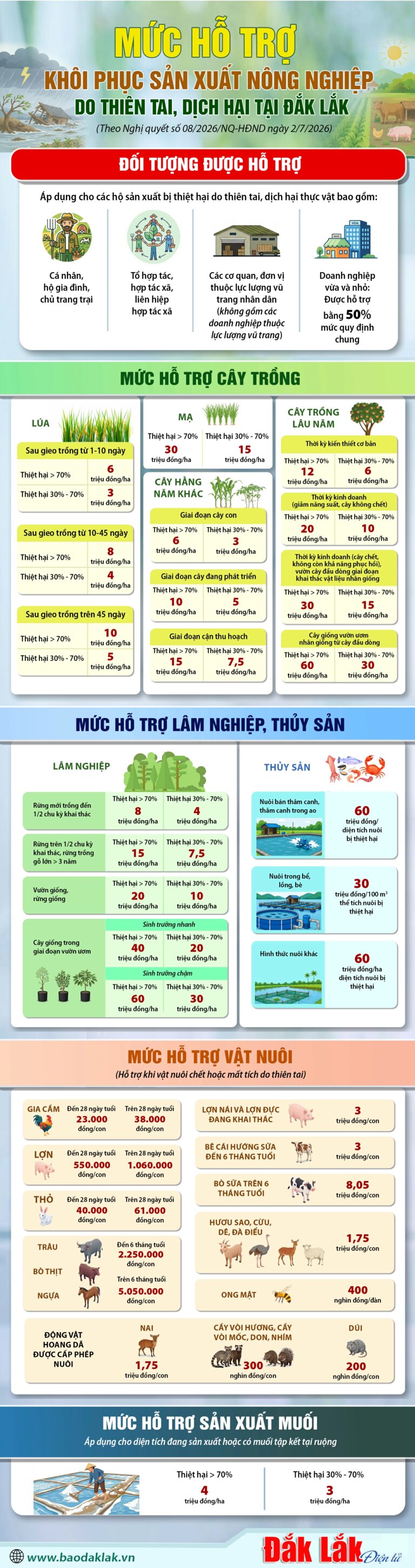 (Infographic) Mức hỗ trợ khôi phục sản xuất nông nghiệp do thiên tai, dịch hại tại Đắk Lắk