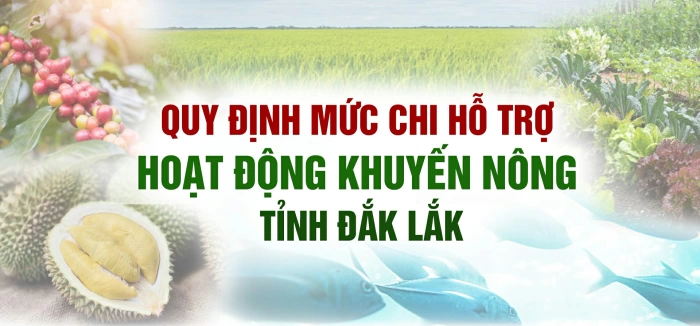(Infographic) Quy định mức chi hỗ trợ hoạt động khuyến nông tỉnh Đắk Lắk