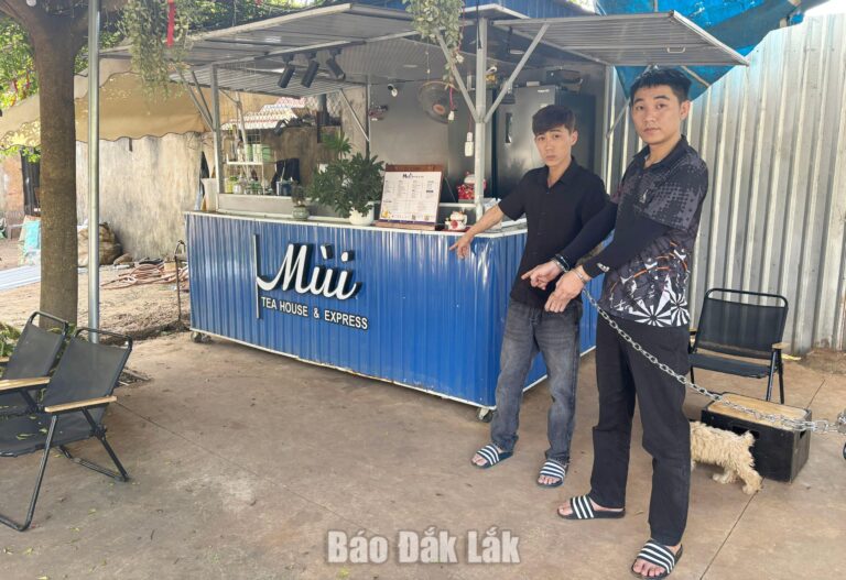 Khởi tố hai đối tượng trộm cắp tài sản tại kiốt ven Quốc lộ 26