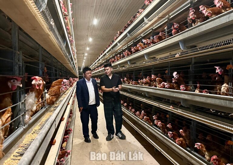Lợi thế vẫn chưa thành sức mạnh kinh tế, vì sao?