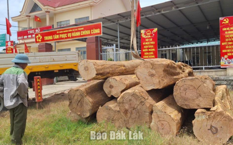 Phát hiện xe tải vận chuyển 10 lóng gỗ không rõ nguồn gốc