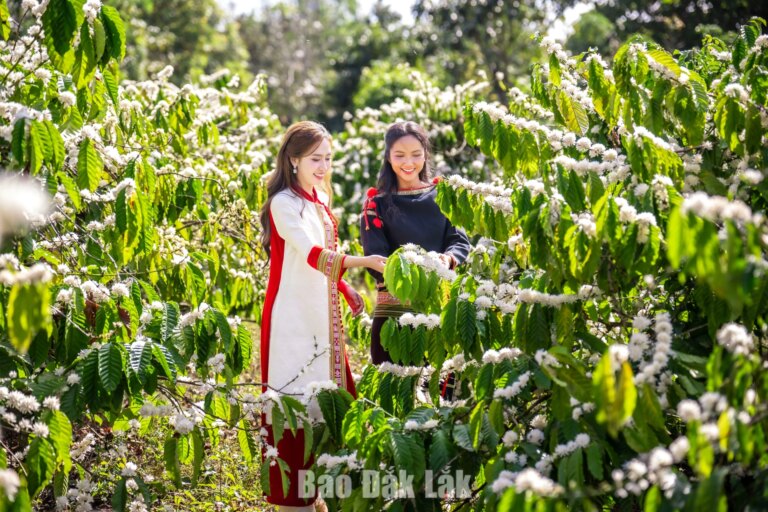 Tạo dấu ấn khác biệt cho Lễ hội Cà phê Buôn Ma Thuột lần thứ 10 năm 2027
