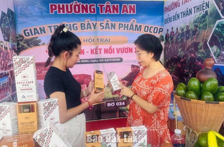 Tổ chức Hội trại “Bình Kiến - Kết nối vươn xa” năm 2026