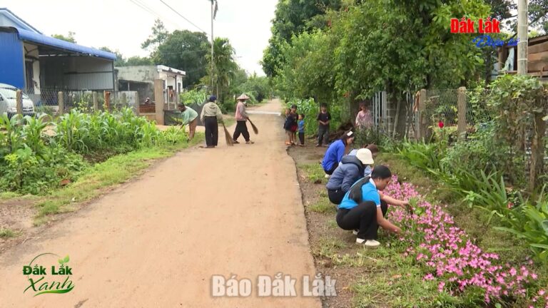 (Video) Đắk Lắk kiến tạo nguồn nhân lực số
