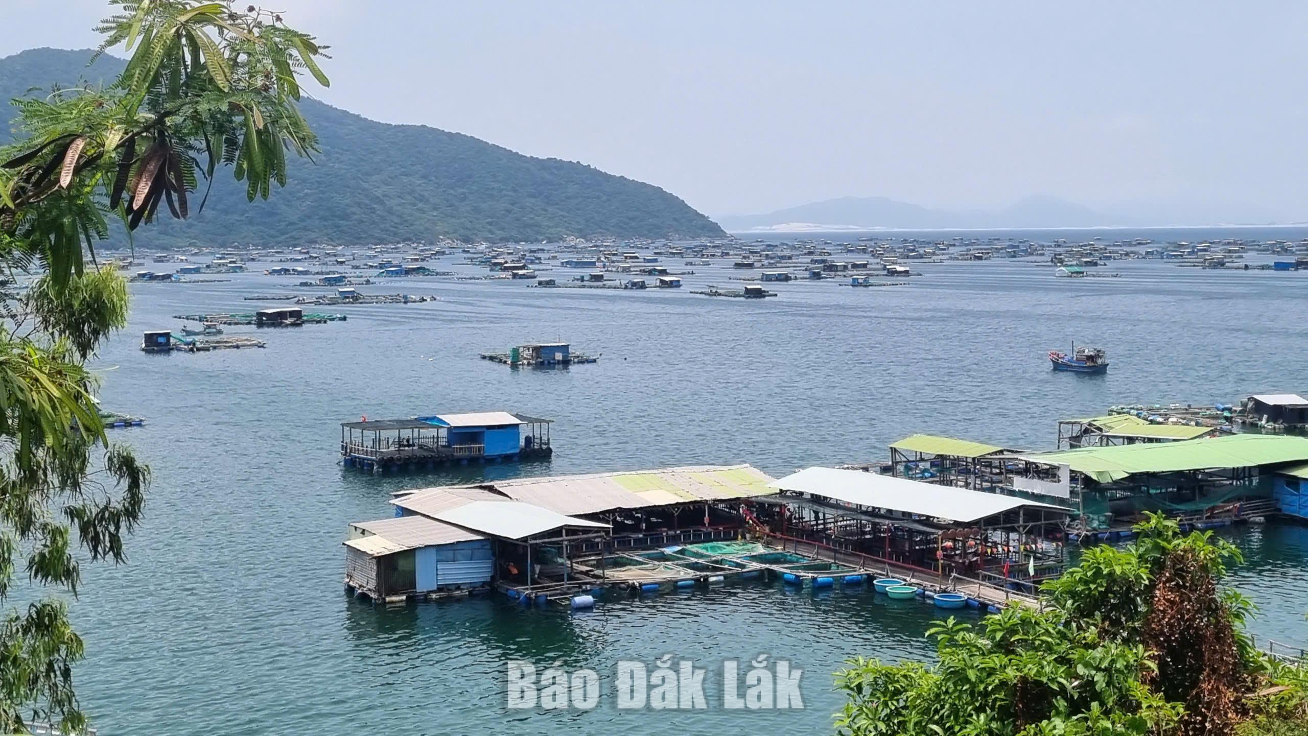 Đắk Lắk đang tập trung quy hoạch lại vùng nuôi trồng thủy sản để phát huy tối đa lợi thế của vùng. 