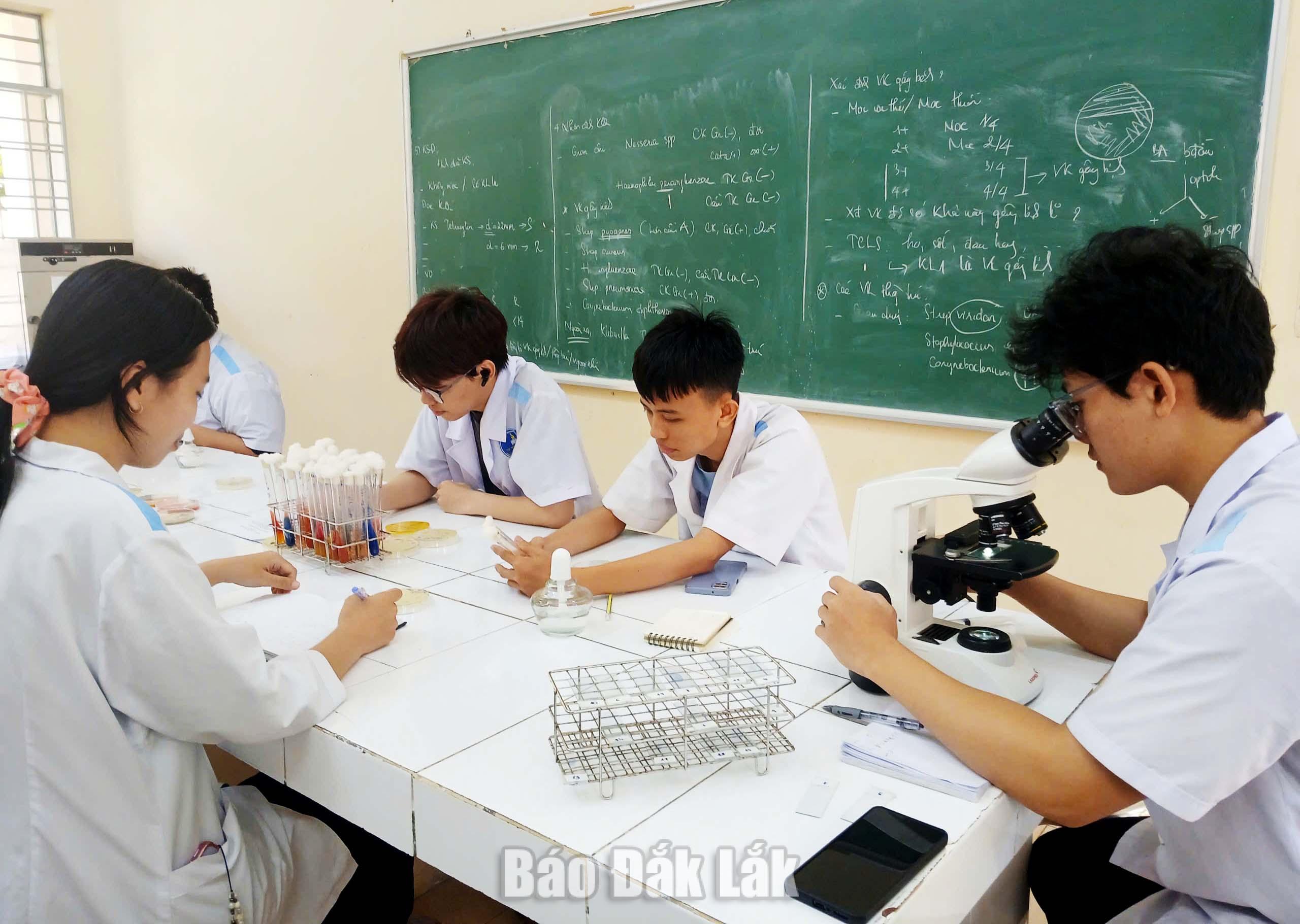 Trường Đại học Y Dược Buôn Ma Thuột và Trường Đại học Tây Nguyên công bố ngưỡng điểm đầu vào năm 2026 2 Sinh viên Trường Đại học Tây Nguyên thực hành Vi sinh - sinh hóa tại trường.