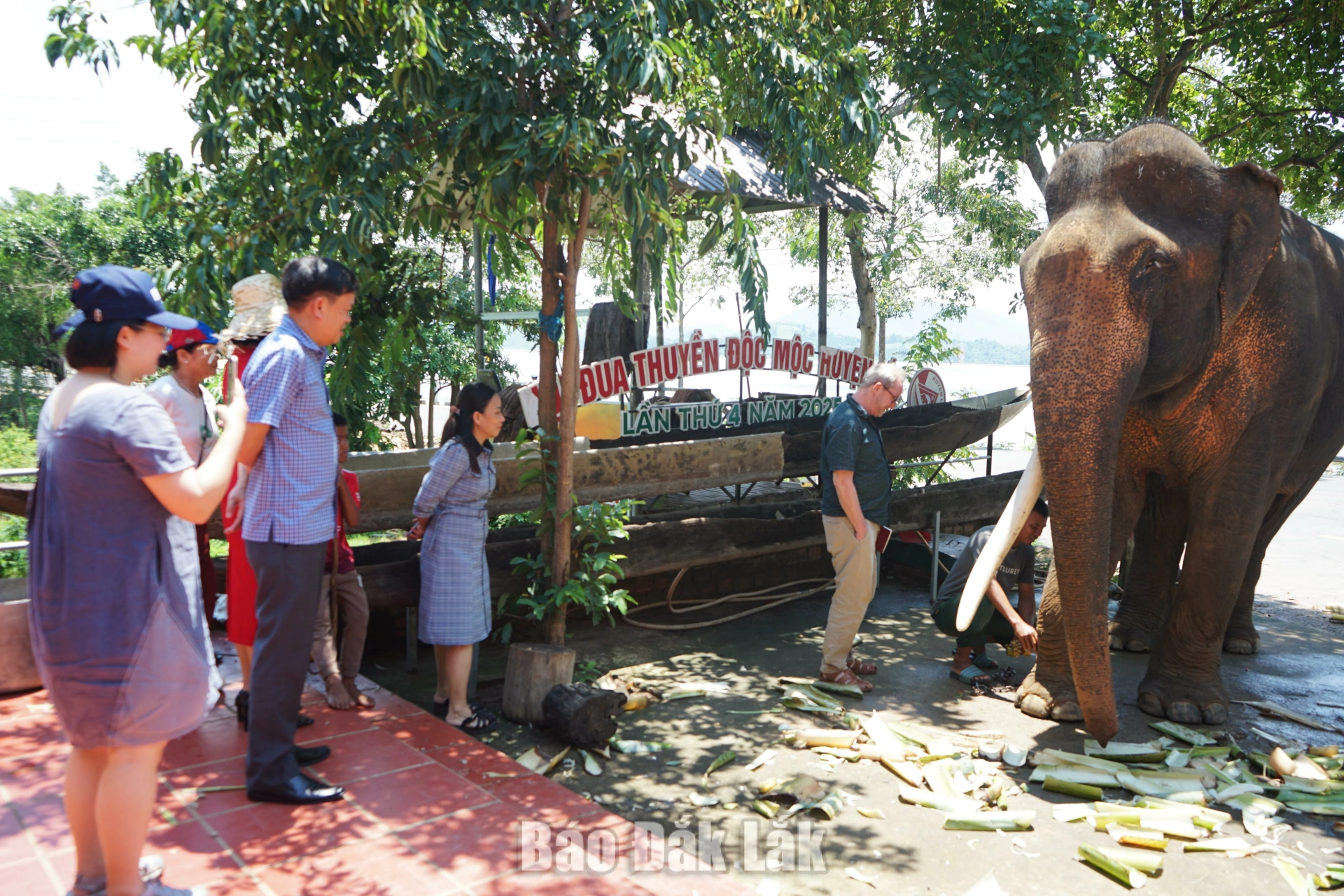 Du khách tham quan và trải nghiệm chụp hình cùng voi tại khu du lịch hồ Lắk