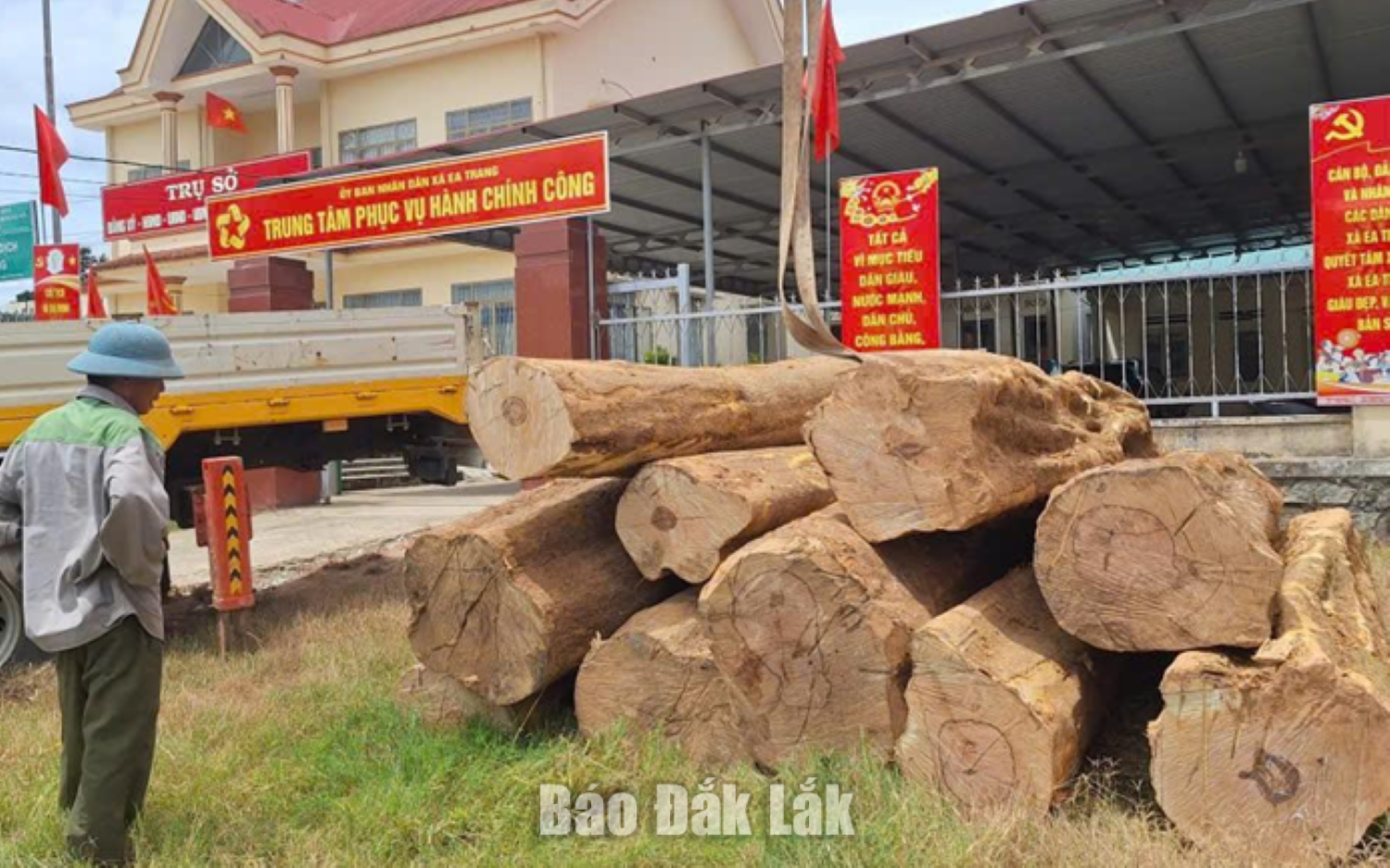 Số gỗ được đưa về trụ sở Công an xã Ea Trang để tiếp tục xác minh, xử lý. Ảnh: Công an cung cấp.