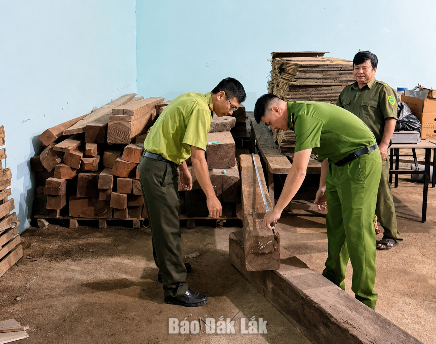 Lực lượng chức năng tiến hành đo đếm số gỗ thu được.