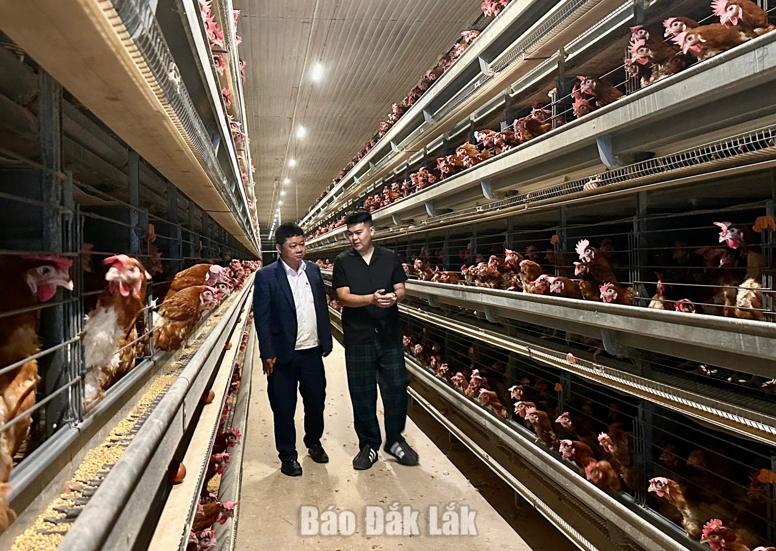 Lợi thế vẫn chưa thành sức mạnh kinh tế, vì sao? 1 Các dự án chăn nuôi công nghệ cao cần những quỹ đất sạch để đầu tư.