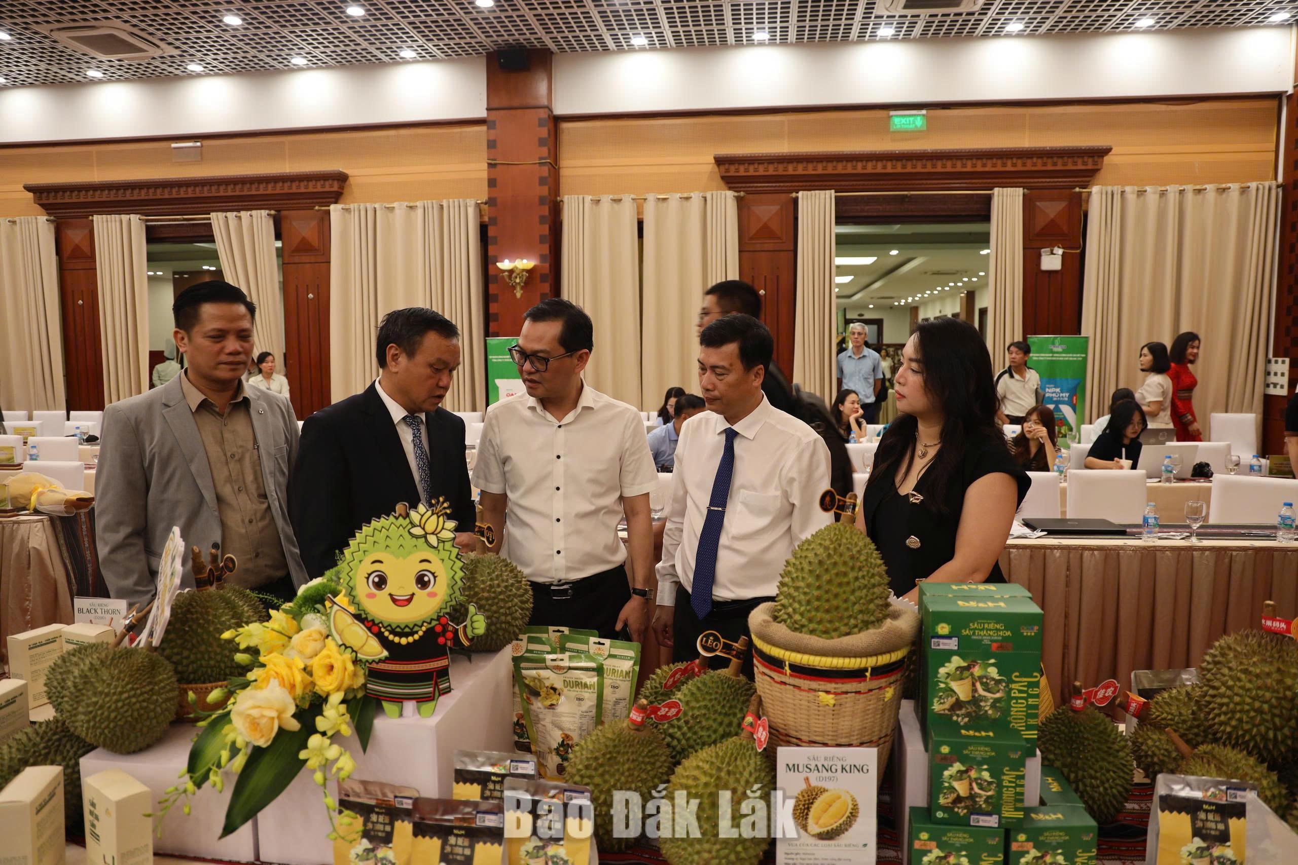 Quảng bá và định vị thương hiệu sầu riêng Đắk Lắk qua lễ hội lớn nhất năm 2026 5 Các đại biểu tham quan nơi trưng bày sản phẩm sầu riêng Đắk Lắk.
