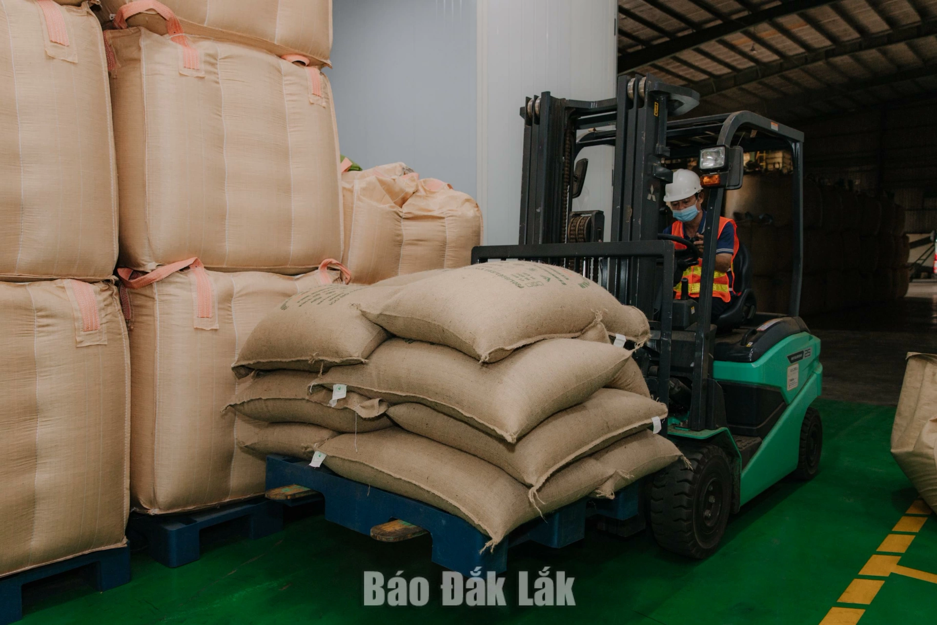 Hệ thống logistics cần được tập trung đầu tư để làm nền tảng cho nông nghệ cao bứt phá. 