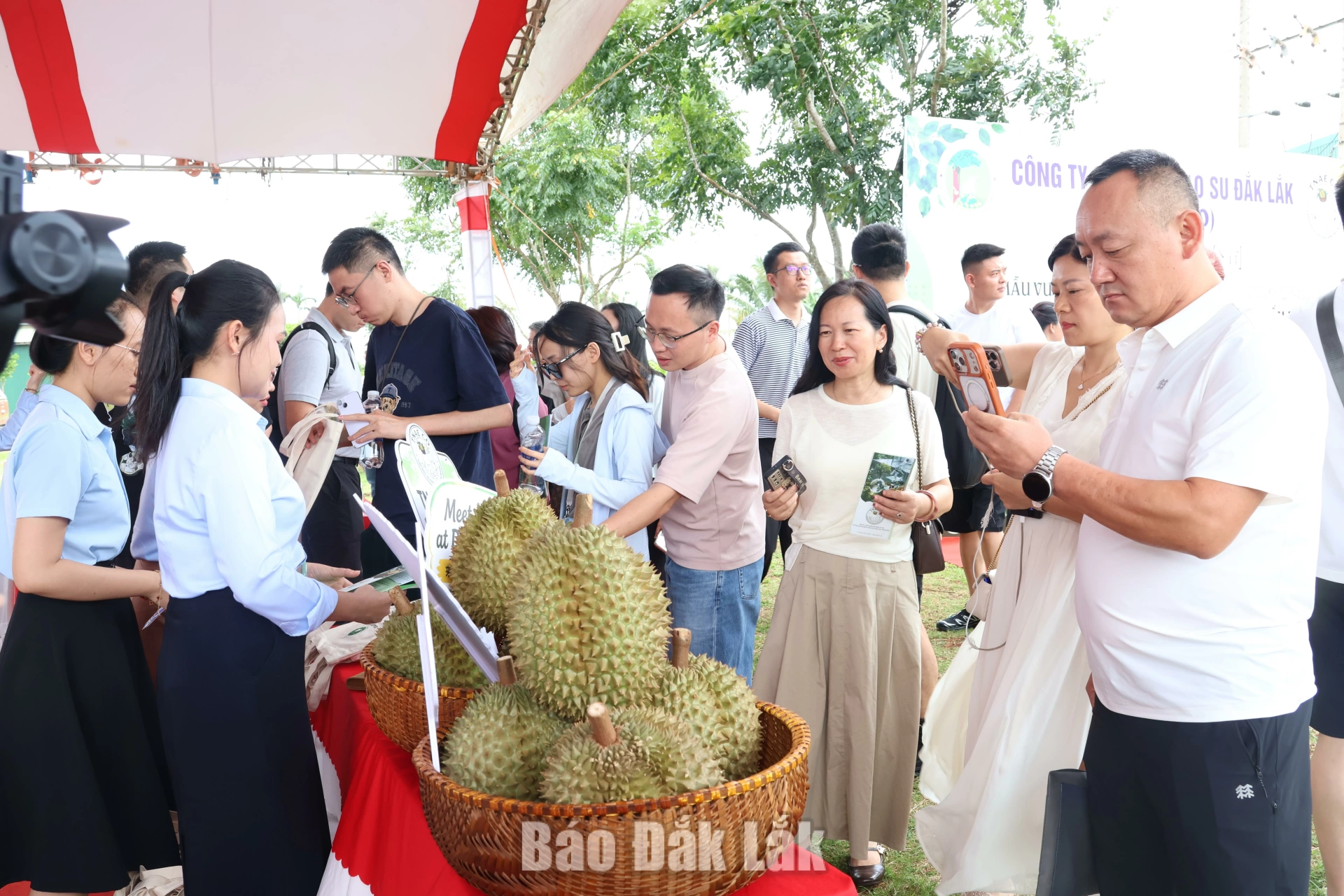 Doanh nghiệp Trung Quốc khảo sát vùng trồng sầu riêng của Dakruco 2 Các doanh nghiệp tìm hiểu sản phẩm sầu riêng của Dakruco.
