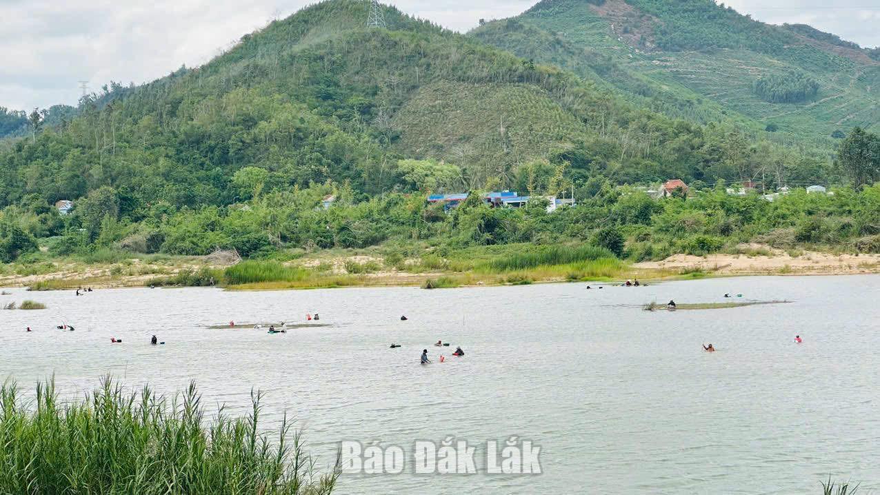 Bất chấp hiểm nguy nhiều người dân vẫn đổ xô era sông Kỳ Lộ bắt hến.