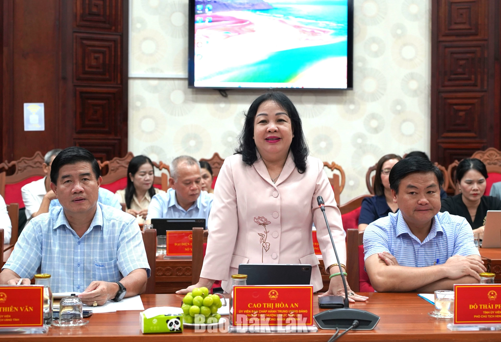 Đồng chí Cao Thị Hòa An, Ủy viên Trung ương Đảng, Phó Bí thư Thường trực Tỉnh ủy, Chủ tịch HĐND tỉnh phát biểu tại buổi gặp mặt.