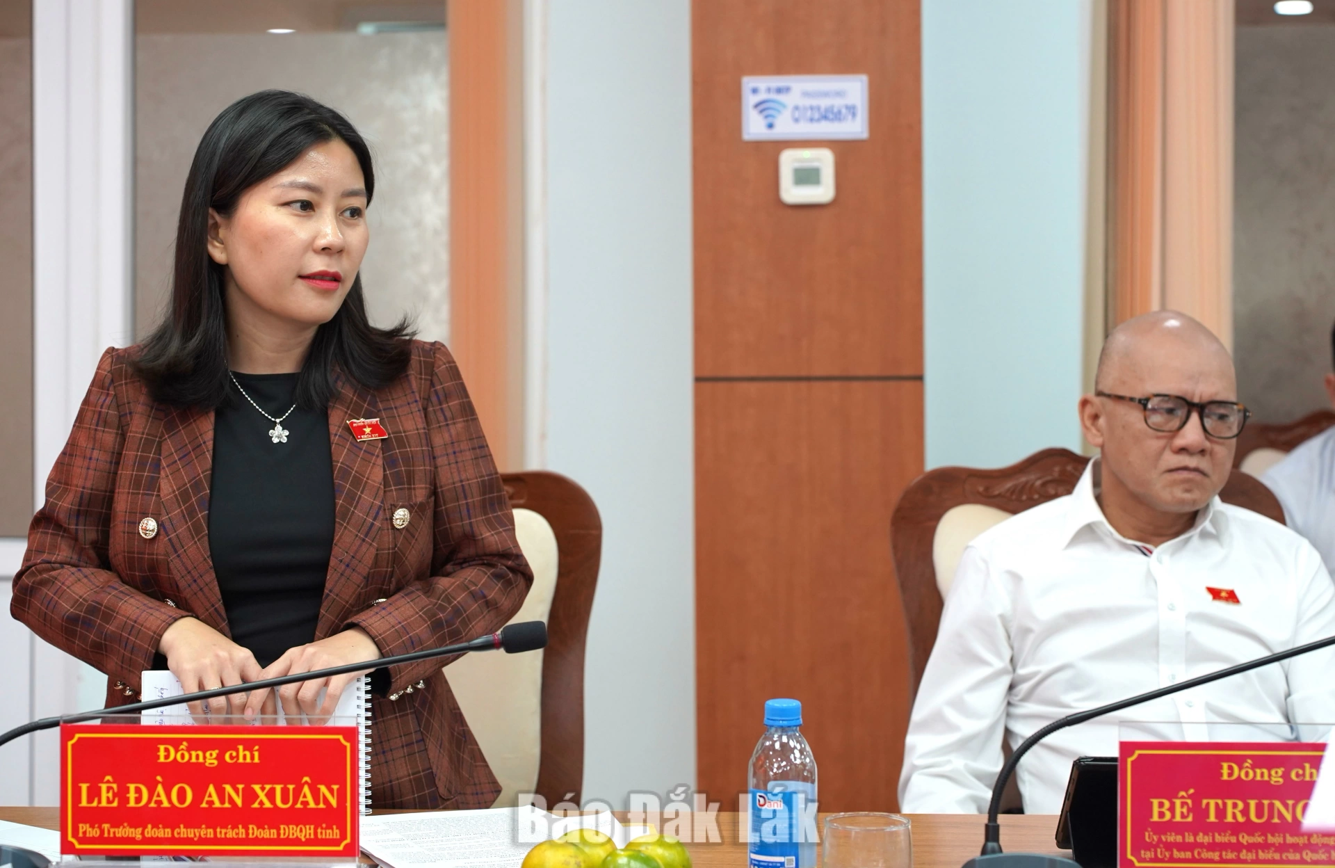 Đồng chí Lê Đào An Xuân, Tỉnh ủy viên, Phó Trưởng đoàn chuyên trách Đoàn ĐBQH tỉnh, Trưởng đoàn giám sát phát biểu kết luận buổi làm việc.