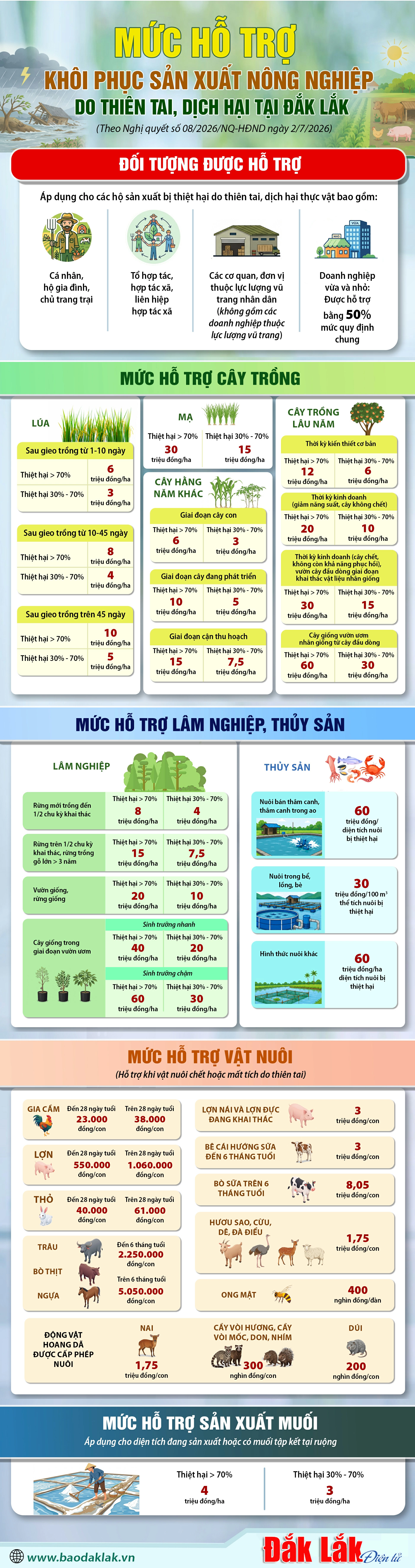 (Infographic) Mức hỗ trợ khôi phục sản xuất nông nghiệp do thiên tai, dịch hại tại Đắk Lắk 1 thien tai ok 20260713144508