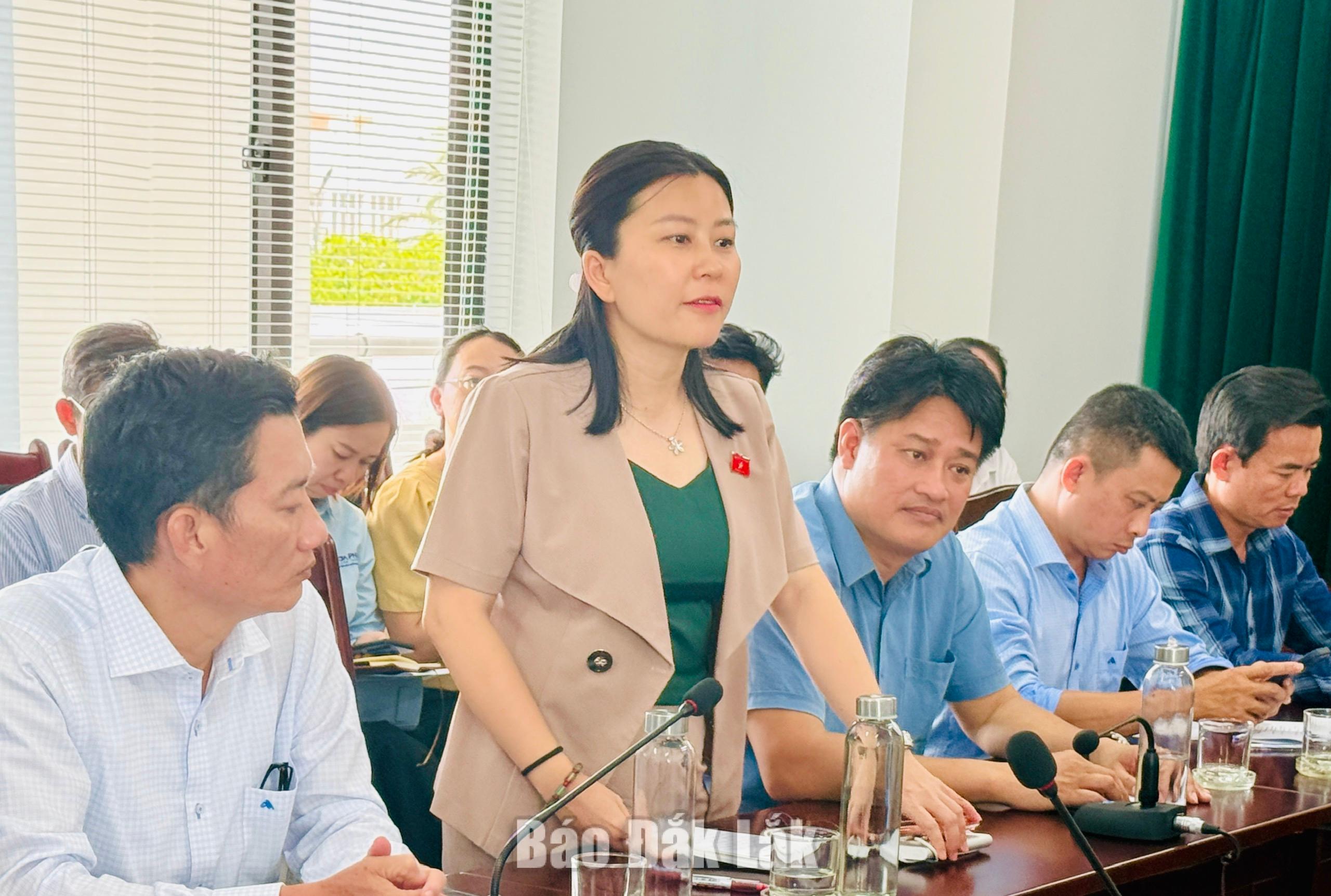 Đồng chí Lê Đào An Xuân, Tỉnh ủy viên, Phó Trưởng đoàn chuyên trách Đoàn ĐBQH tỉnh thông tin một số nội dung đoàn quan tâm thuộc thẩm quyền.