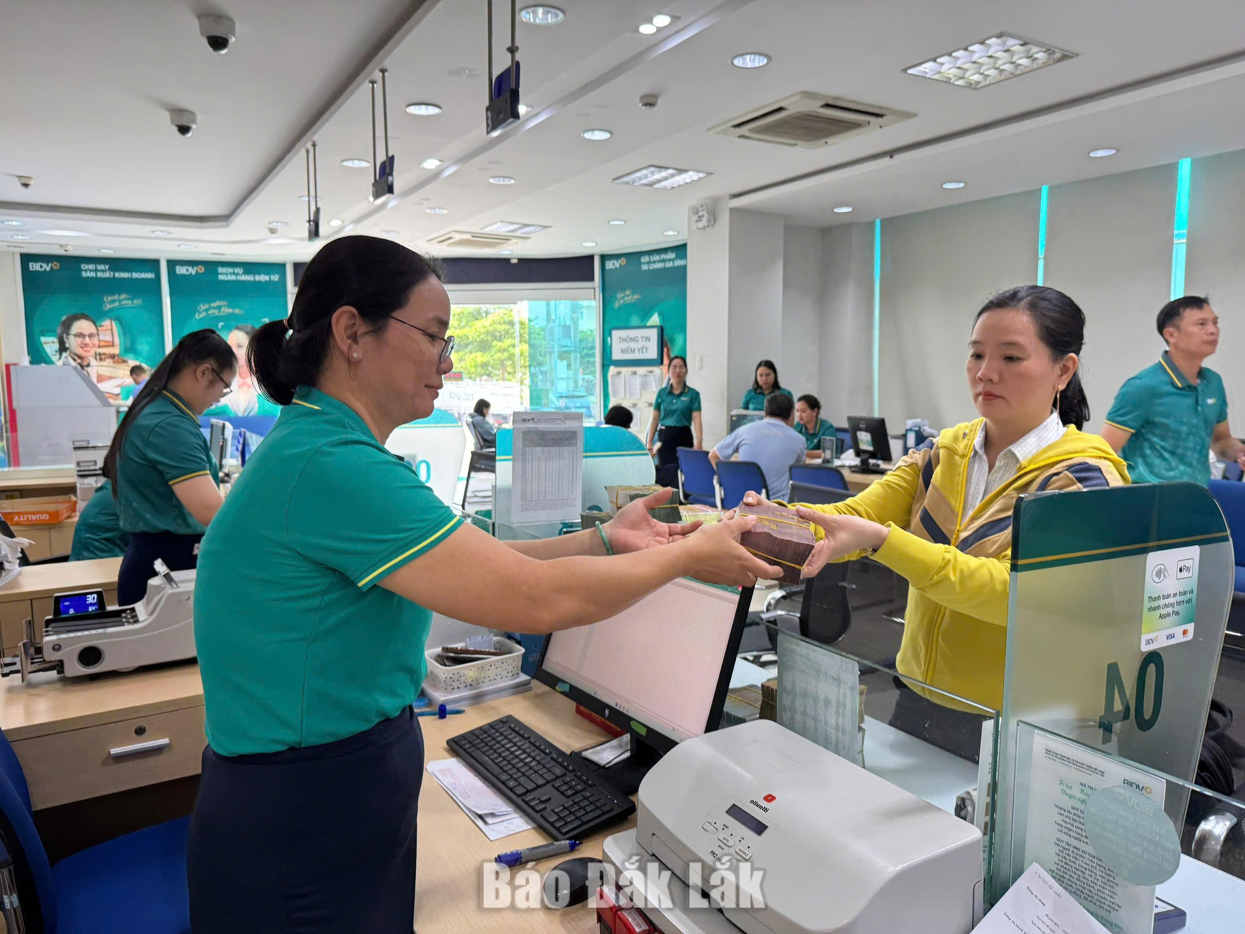 Đưa dòng vốn đi đúng hướng 1 Nhân viên Ngân hàng BIDV Chi nhánh Phú Yên hỗ trợ khách hàng thực hiện giao dịch.