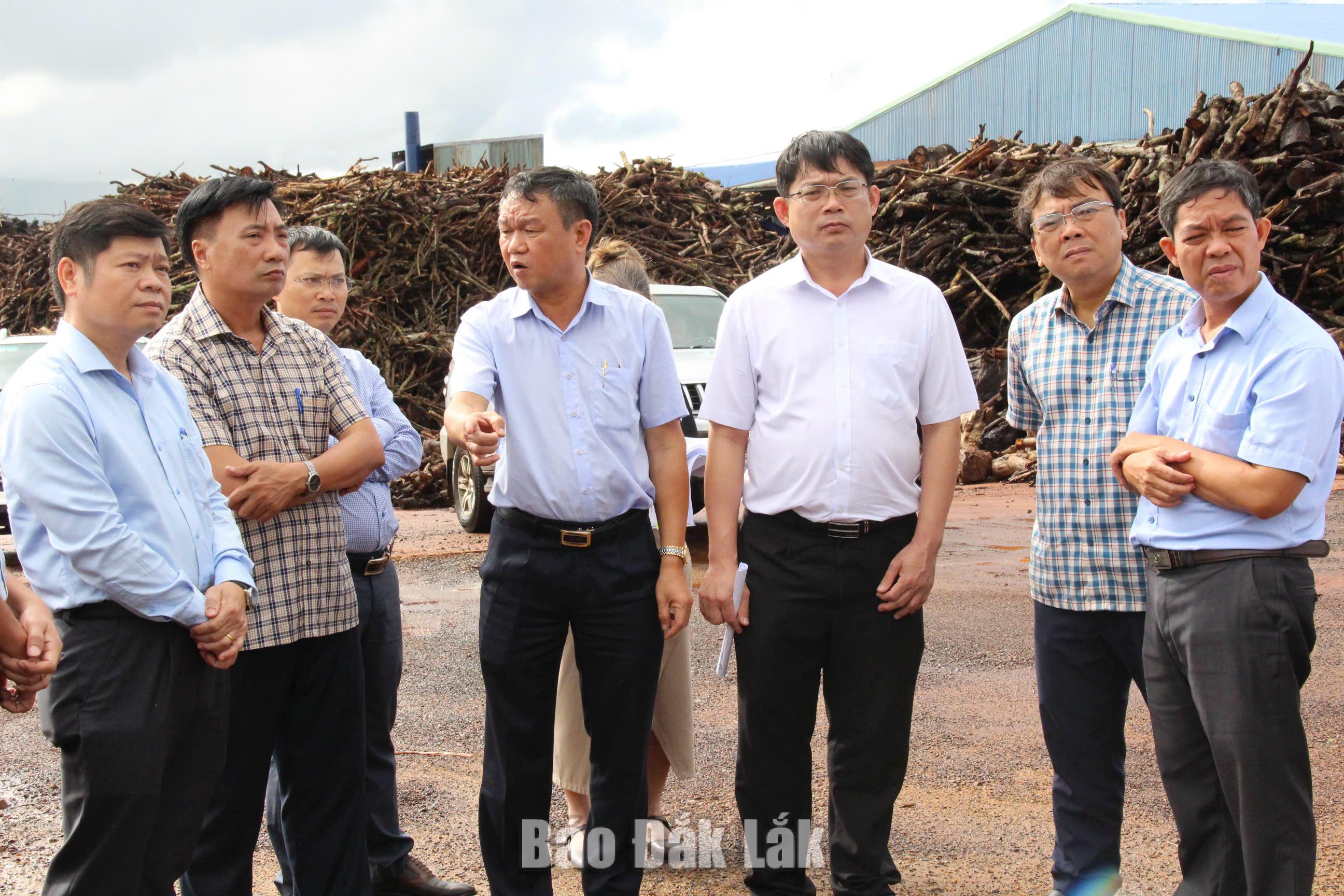 các đơn vị đã báo cáo tình hình thực tế