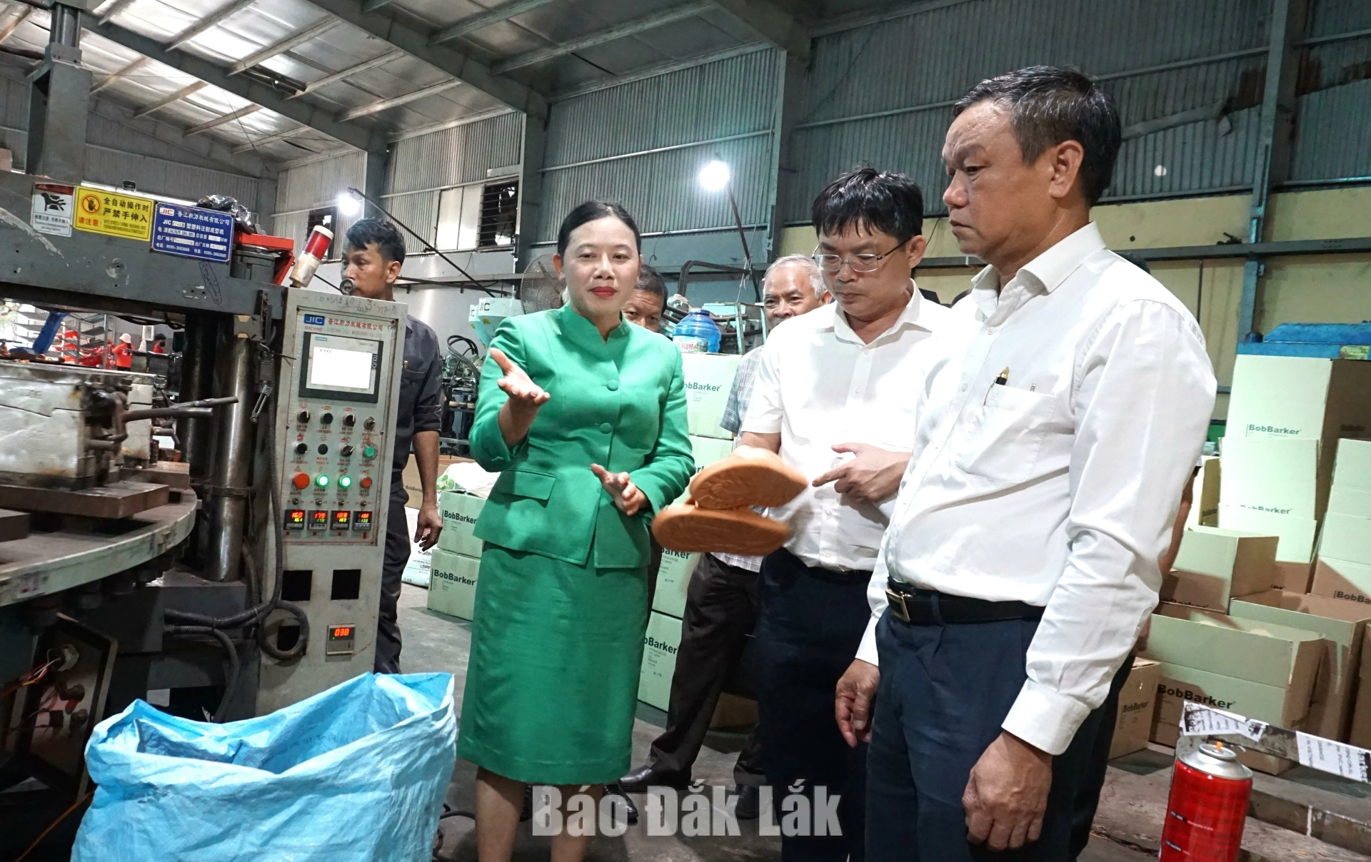 Phó Chủ tịch UBND tỉnh Đào Mỹ 