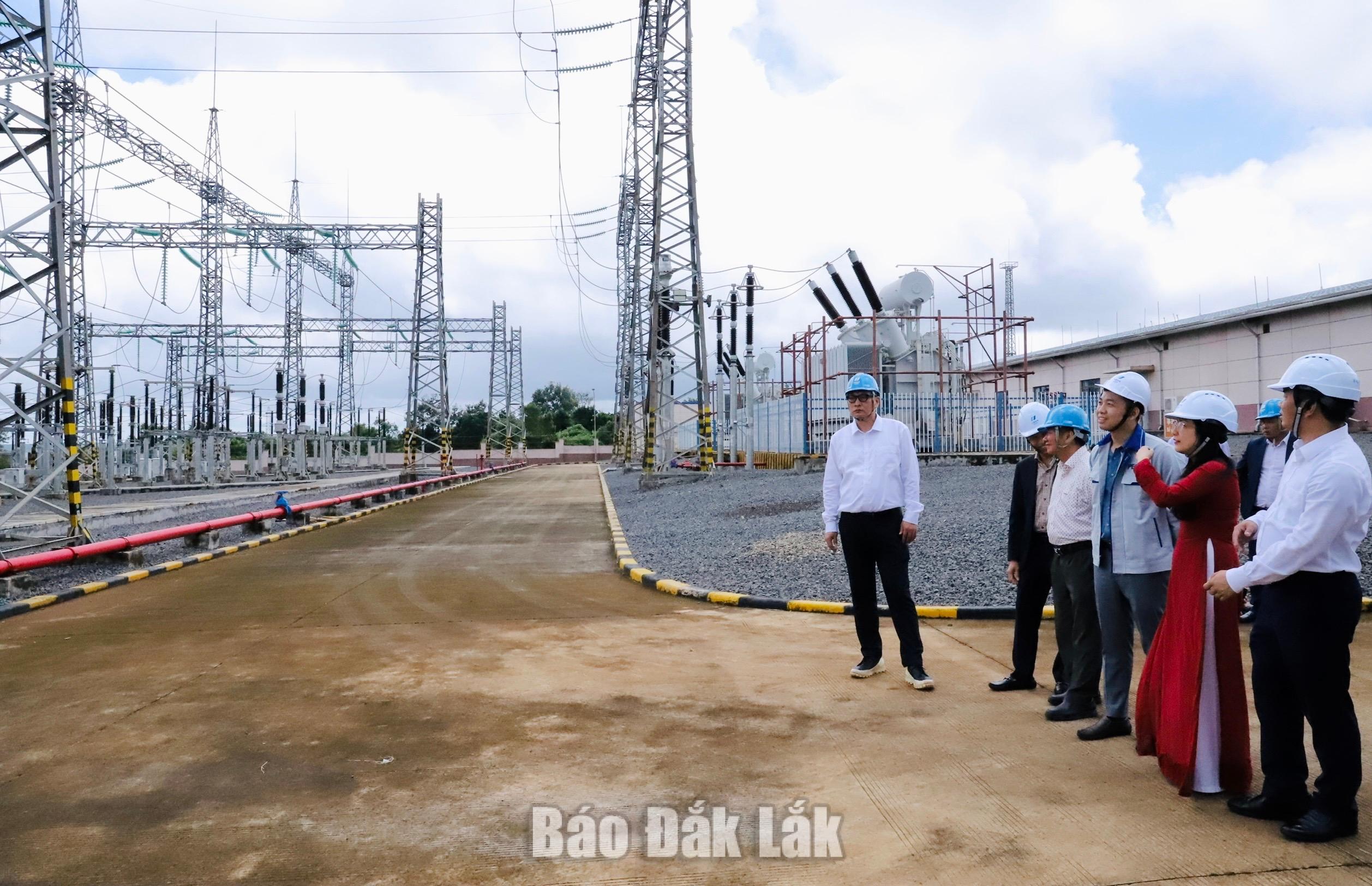 Khánh thành Tổ hợp 4 nhà máy điện gió tổng công suất 200 MW 4 Các đại biểu tham qua nhà máy.