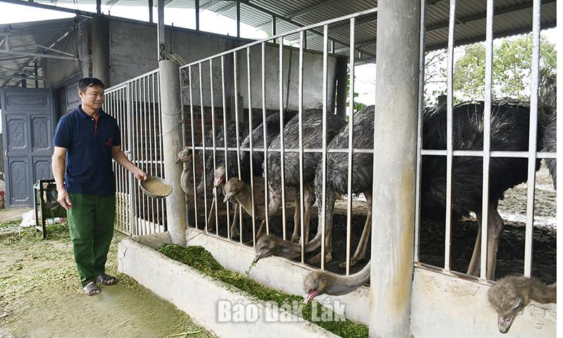 Nông dân thời đại mới trên hành trình làm giàu 2 Mô hình