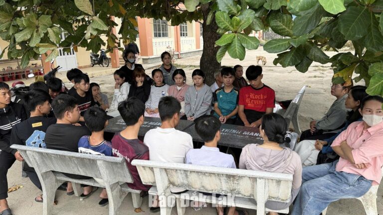 Cho phép mở lớp giáo dục thường xuyên tại Trường THPT Phan Chu Trinh