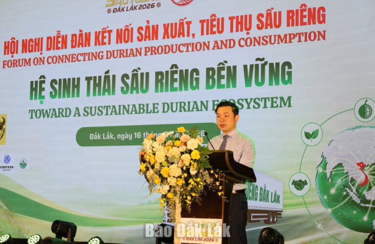 Chuyển mạnh từ tăng trưởng nhanh sang phát triển bền vững ngành hàng sầu riêng