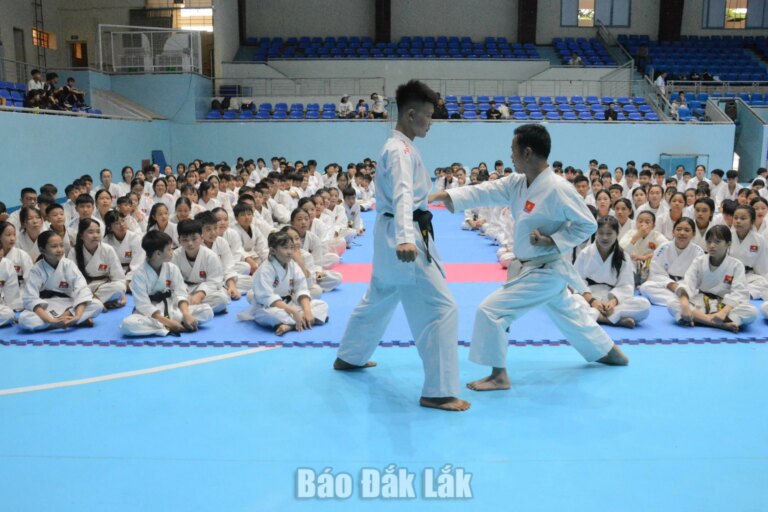 Hơn 370 võ sinh thi thăng đẳng quốc gia môn karate