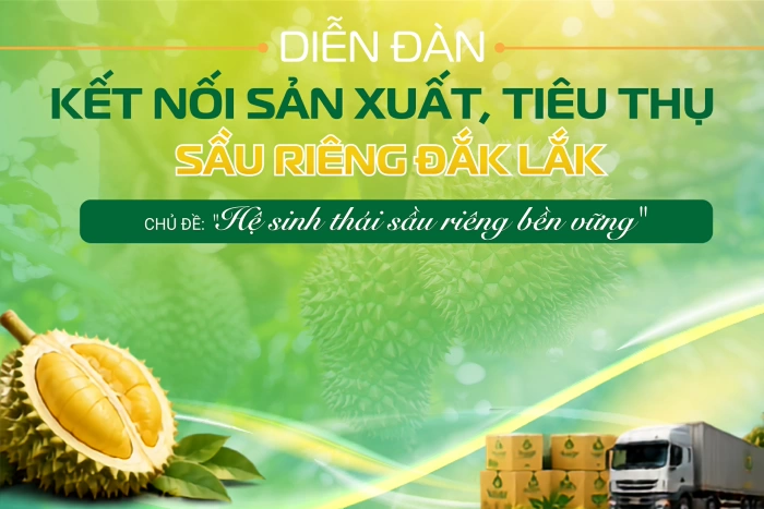 (Infographic) Diễn đàn kết nối sản xuất, tiêu thụ sầu riêng 