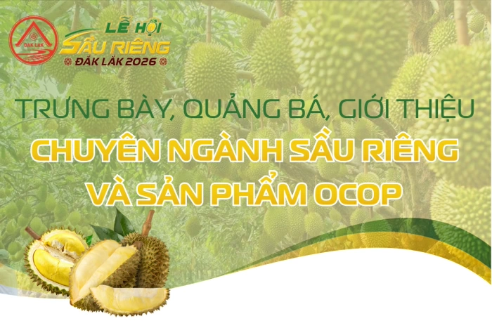 (Infographic) Trưng bày, quảng bá, giới thiệu chuyên ngành sầu riêng và sản phẩm OCOP