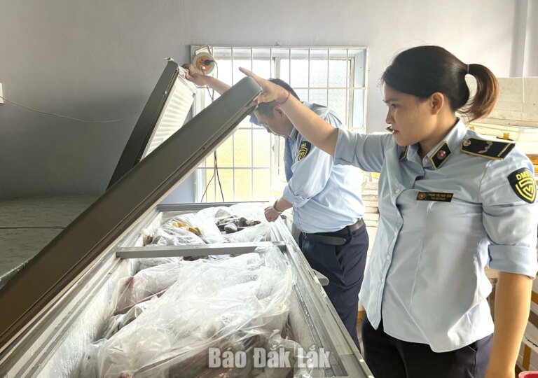 Kiểm tra, giám sát an toàn thực phẩm tại cơ sở giáo dục