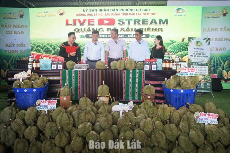 Livestream quảng bá “Sầu riêng Cư Bao – Kết nối vươn xa”