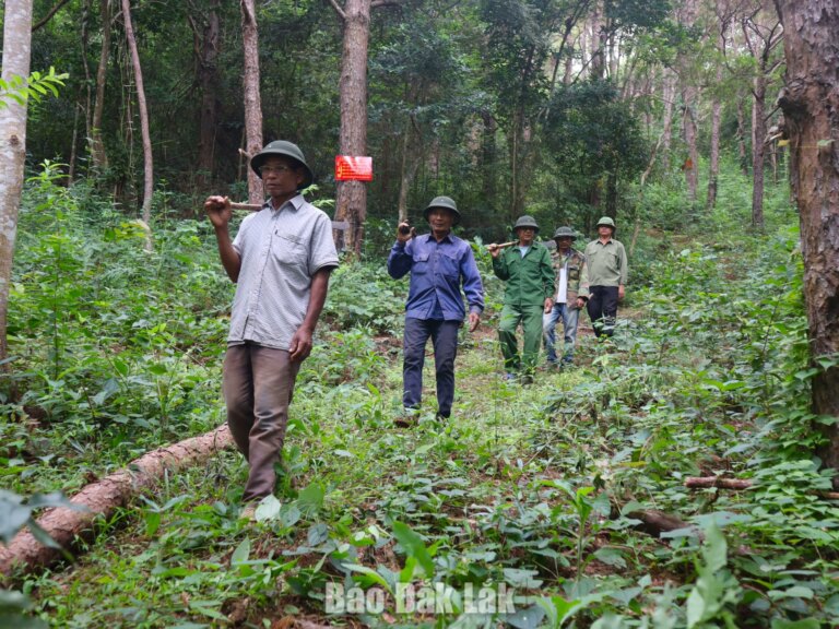 Những người “gác rừng” của buôn làng