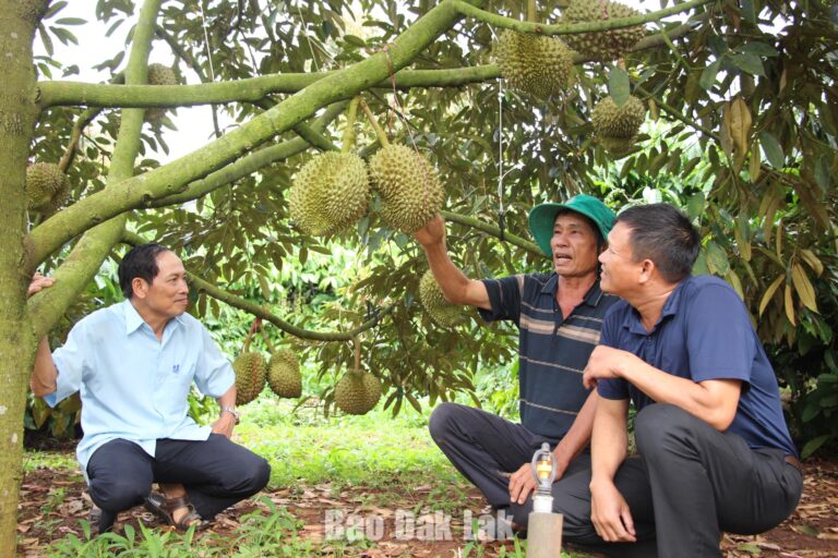 Nông dân thời đại mới trên hành trình làm giàu