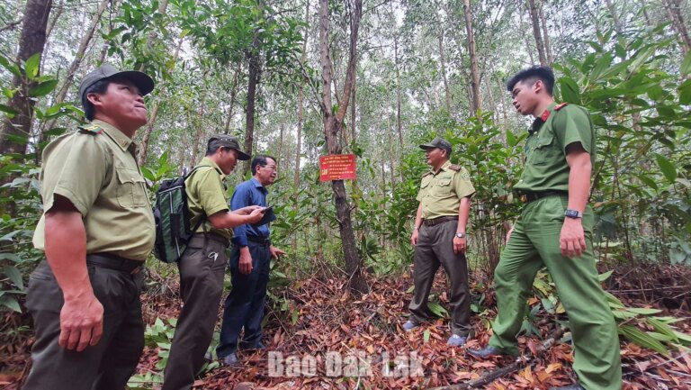Tăng cường các biện pháp cấp bách về phòng cháy, chữa cháy rừng