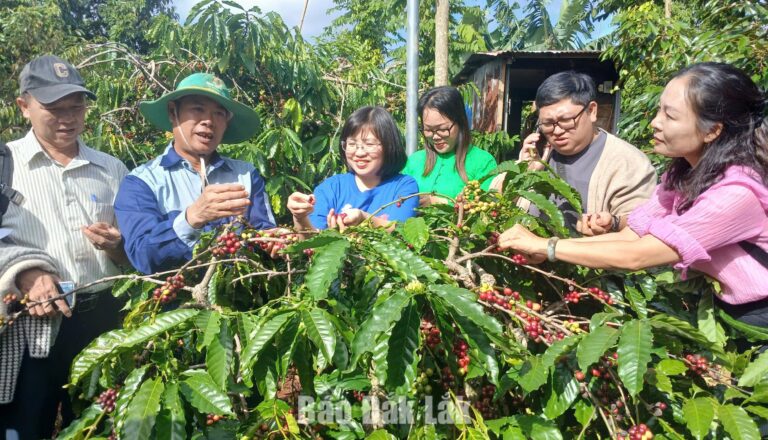 Trải nghiệm xanh - hướng đi mới của du lịch cộng đồng Ðắk Lắk