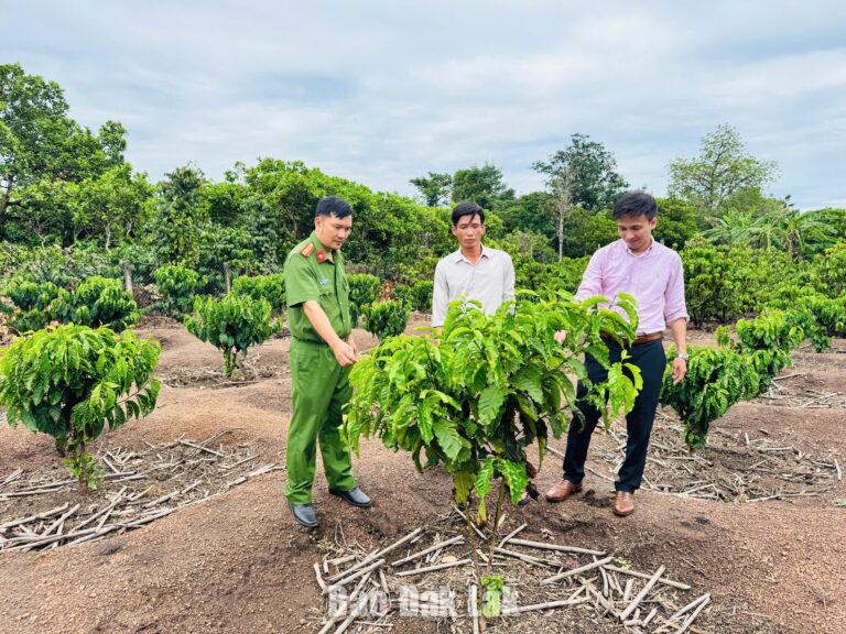 Trao cơ hội, mở lối hoàn lương